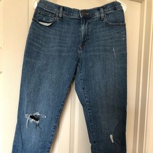 LOFT de instructed straight jeans